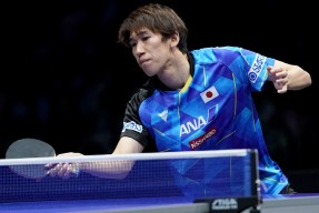 贝博在线入口 -包含赛地聚焦：国王杯关键时刻热度飙升，夏洛特黄蜂手感冰凉，震撼外界，年轻球员得到机会的词条