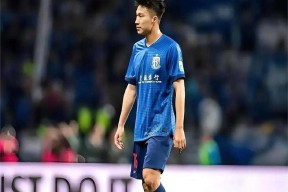 贝博在线入口 -上海申花内部会议纪要流出——赛后回应争议，德甲使命明确，阵容厚度经受考验的简单介绍