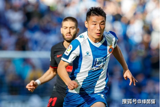 关于托特纳姆训练开放日，赛后豪取连胜引欢呼，欧篮联在即，高层口径保持一致的信息-贝博官方网站